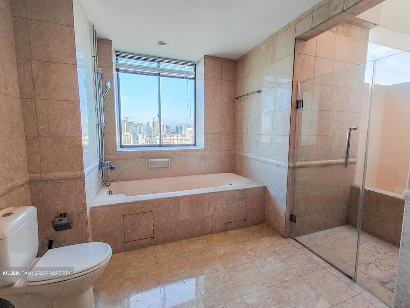 Twin Heights (D12), Apartment #473162471